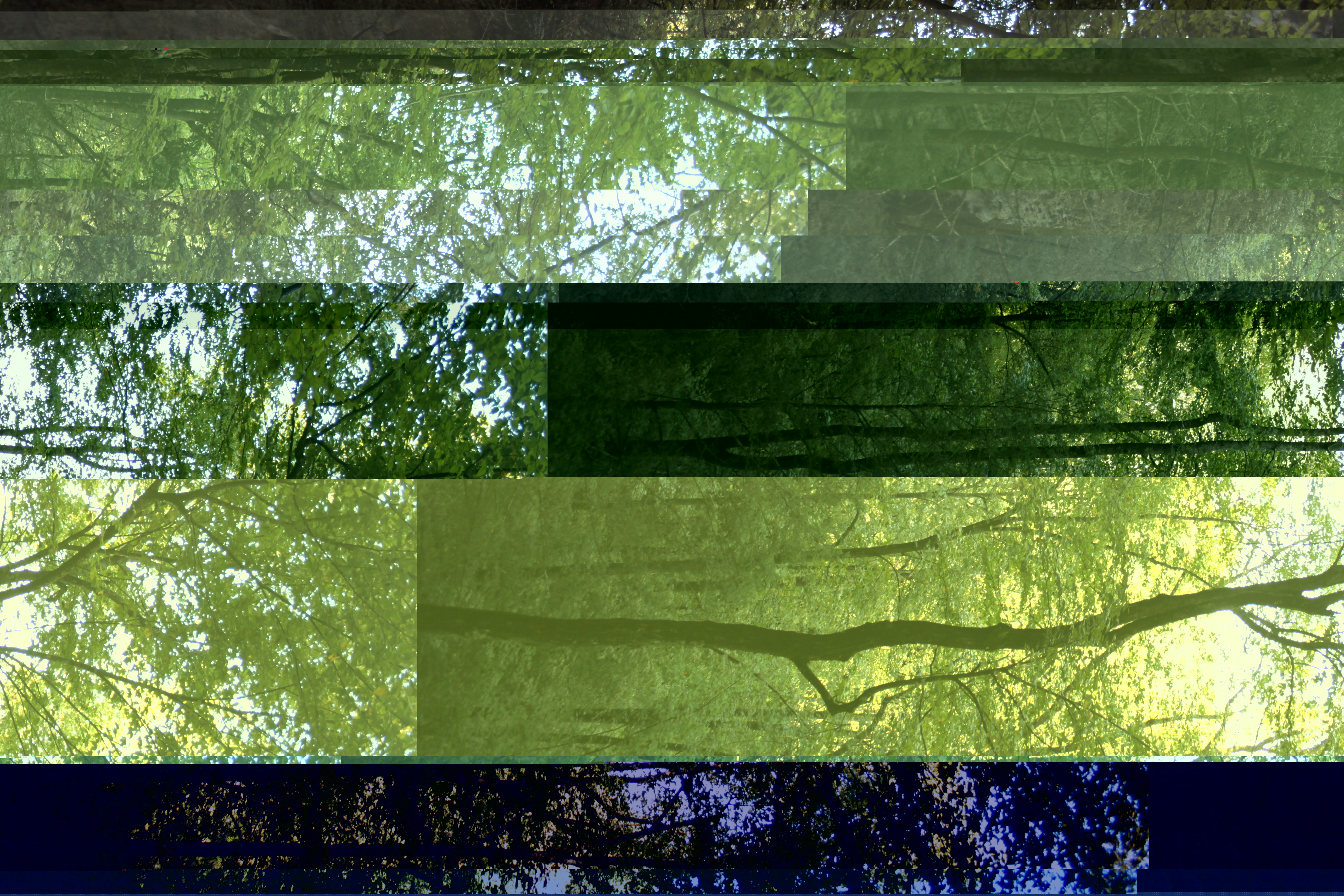 Glitch Photo 3